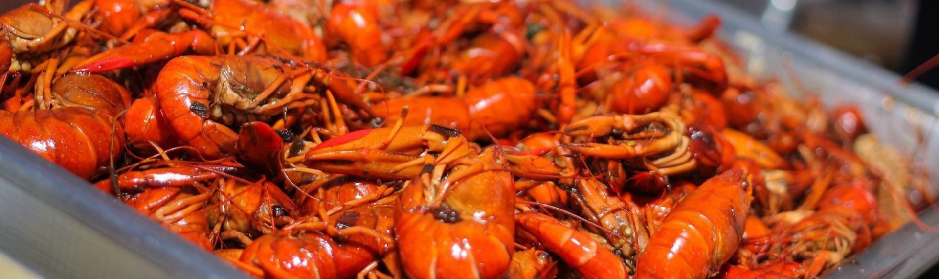 Ocho Rios Seafood Festival Foodie Heaven in Jamaica The Travel Current